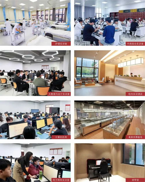 春季高考生,廣東酒店管理職業(yè)技術(shù)學(xué)院2024年春招招5006人