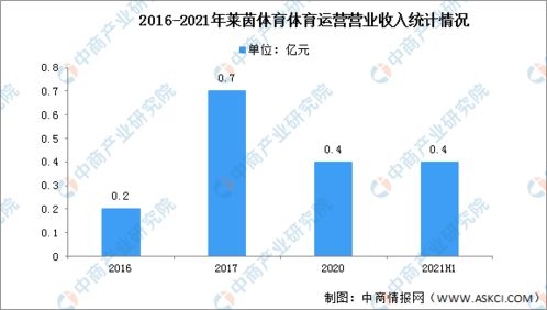2022年中國冰雪產(chǎn)業(yè)行業(yè)市場前景及投資研究預(yù)測報告 簡版